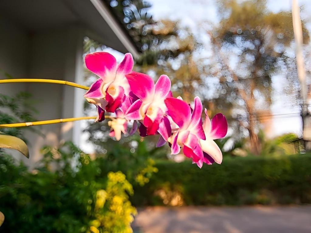 Chayada Garden House And Resort Hotel Nakhon Ratchasima Exterior photo